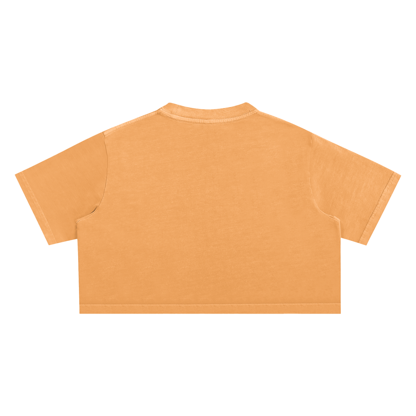 "Night Sessions" - Snow Washed Crop Top